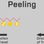 peel_9.jpg