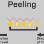 peel_4.jpg