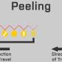 peel_8.jpg
