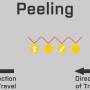 peel_3.jpg