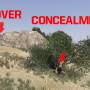 cover_concealment.jpg